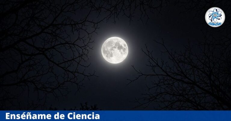 La Luna llena de agosto no llegará sola: cuándo y cómo ver la Luna del Esturión y otro evento astronómico