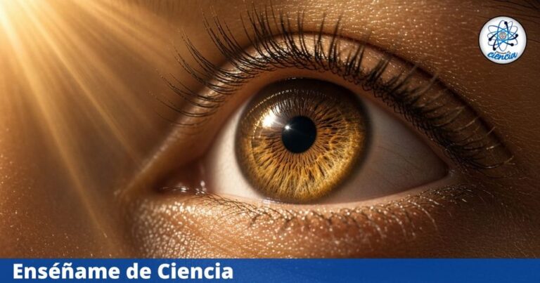 Una combinación de optogenética y terapia génica logra avances frente a la ceguera