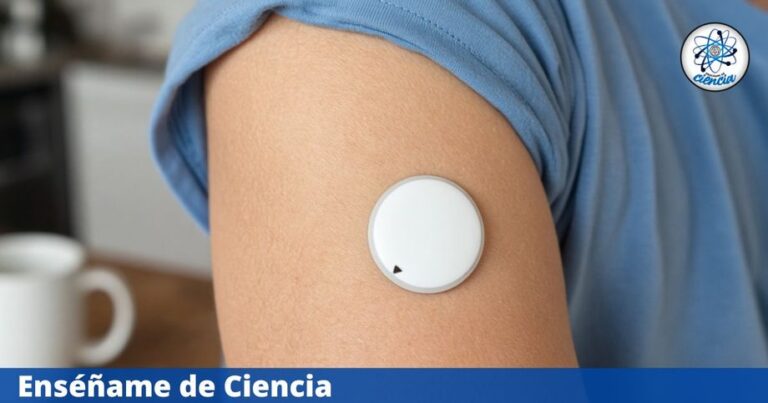 Crean un chip subcutáneo que busca controlar la glucosa y combatir la diabetes y la obesidad