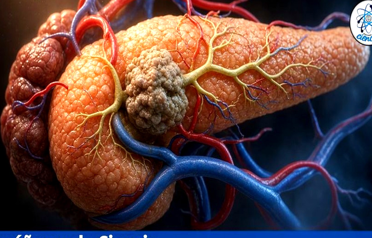 Infografía de Biología Celular y Rutas Metabólicas: guía visual de organelos, mitosis y ciclo de Krebs